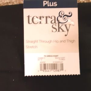 Terra & Sky Dress Pants